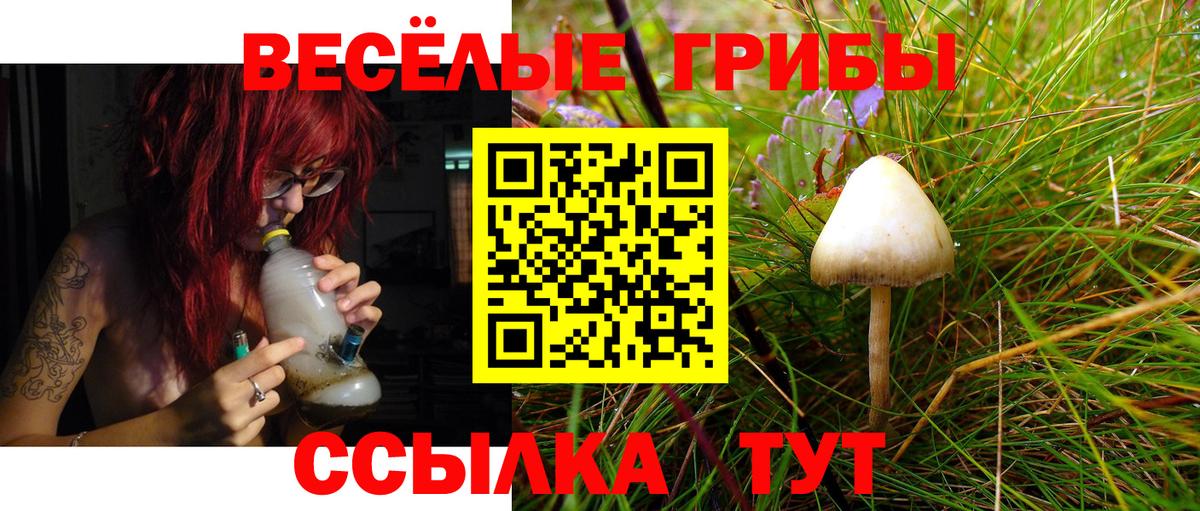 Галлюциногенные грибы MAGIC MUSHROOMS Можга