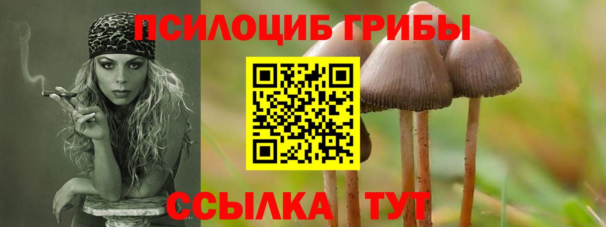 Галлюциногенные грибы ЛСД  Галлюциногенные грибы GOLDEN TEACHER  Можга  Вход с VPN 