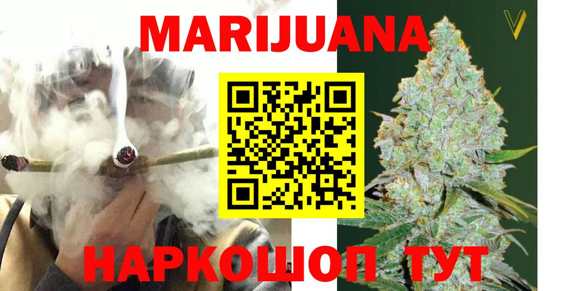 Бошки Шишки планчик Можга